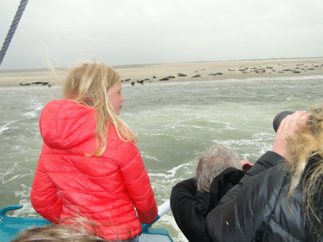 HWK Texel 229.jpg